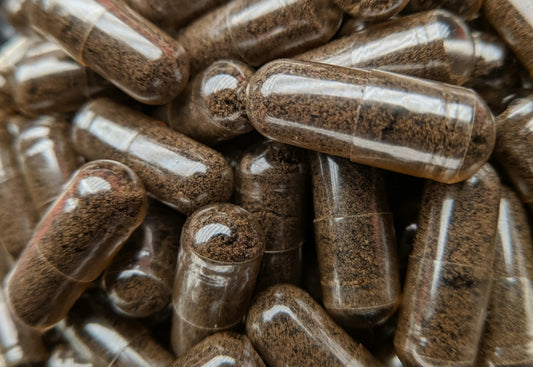 What are the different types of nootropics?